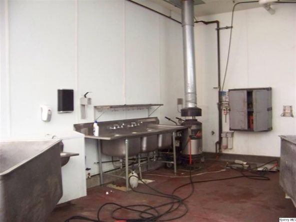 Big River Fish Corporation: 30402 State Highway 107, Griggsville, IL 62340